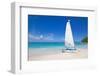 Beach and Hobie Cat, Long Bay, Antigua, Leeward Islands, West Indies, Caribbean, Central America-Frank Fell-Framed Photographic Print