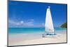 Beach and Hobie Cat, Long Bay, Antigua, Leeward Islands, West Indies, Caribbean, Central America-Frank Fell-Mounted Photographic Print