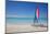 Beach and Hobie Cat-Frank Fell-Mounted Photographic Print