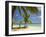 Beach and Lounger, Plantation Island Resort, Malolo Lailai Island, Mamanuca Islands, Fiji-David Wall-Framed Premium Photographic Print