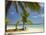 Beach and Lounger, Plantation Island Resort, Malolo Lailai Island, Mamanuca Islands, Fiji-David Wall-Mounted Premium Photographic Print