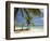 Beach and Lounger, Plantation Island Resort, Malolo Lailai Island, Mamanuca Islands, Fiji-David Wall-Framed Photographic Print