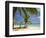 Beach and Lounger, Plantation Island Resort, Malolo Lailai Island, Mamanuca Islands, Fiji-David Wall-Framed Photographic Print