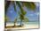 Beach and Lounger, Plantation Island Resort, Malolo Lailai Island, Mamanuca Islands, Fiji-David Wall-Mounted Photographic Print