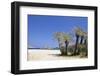 Beach and Palm Tree Forest, Vai, Lasithi, Eastern Crete, Crete, Greek Islands, Greece, Europe-Markus Lange-Framed Photographic Print