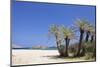 Beach and Palm Tree Forest, Vai, Lasithi, Eastern Crete, Crete, Greek Islands, Greece, Europe-Markus Lange-Mounted Photographic Print