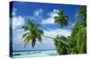 Beach and Palm Trees by the Indian Ocean at Nakatchafushi, North Male Atoll, Maldives-Robert Harding-Stretched Canvas