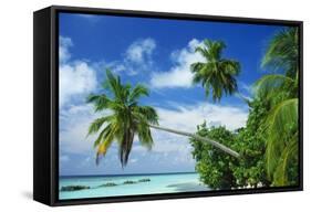 Beach and Palm Trees by the Indian Ocean at Nakatchafushi, North Male Atoll, Maldives-Robert Harding-Framed Stretched Canvas