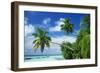 Beach and Palm Trees by the Indian Ocean at Nakatchafushi, North Male Atoll, Maldives-Robert Harding-Framed Photographic Print