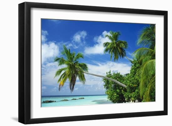 Beach and Palm Trees by the Indian Ocean at Nakatchafushi, North Male Atoll, Maldives-Robert Harding-Framed Photographic Print