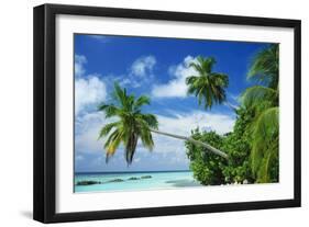 Beach and Palm Trees by the Indian Ocean at Nakatchafushi, North Male Atoll, Maldives-Robert Harding-Framed Photographic Print