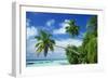 Beach and Palm Trees by the Indian Ocean at Nakatchafushi, North Male Atoll, Maldives-Robert Harding-Framed Photographic Print
