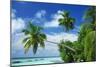 Beach and Palm Trees by the Indian Ocean at Nakatchafushi, North Male Atoll, Maldives-Robert Harding-Mounted Photographic Print