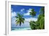 Beach and Palm Trees by the Indian Ocean at Nakatchafushi, North Male Atoll, Maldives-Robert Harding-Framed Photographic Print