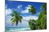 Beach and Palm Trees by the Indian Ocean at Nakatchafushi, North Male Atoll, Maldives-Robert Harding-Mounted Photographic Print