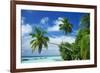 Beach and Palm Trees by the Indian Ocean at Nakatchafushi, North Male Atoll, Maldives-Robert Harding-Framed Photographic Print