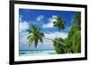 Beach and Palm Trees by the Indian Ocean at Nakatchafushi, North Male Atoll, Maldives-Robert Harding-Framed Photographic Print