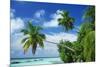 Beach and Palm Trees by the Indian Ocean at Nakatchafushi, North Male Atoll, Maldives-Robert Harding-Mounted Photographic Print