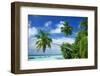 Beach and Palm Trees by the Indian Ocean at Nakatchafushi, North Male Atoll, Maldives-Robert Harding-Framed Photographic Print