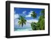 Beach and Palm Trees by the Indian Ocean at Nakatchafushi, North Male Atoll, Maldives-Robert Harding-Framed Photographic Print