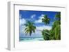 Beach and Palm Trees by the Indian Ocean at Nakatchafushi, North Male Atoll, Maldives-Robert Harding-Framed Photographic Print