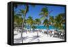 Beach and Palm Trees, Long Bay, Antigua, Leeward Islands, West Indies, Caribbean, Central America-Frank Fell-Framed Stretched Canvas