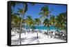 Beach and Palm Trees, Long Bay, Antigua, Leeward Islands, West Indies, Caribbean, Central America-Frank Fell-Framed Stretched Canvas