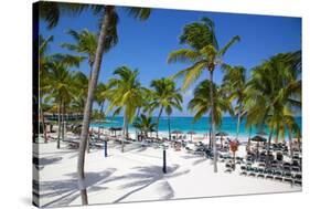 Beach and Palm Trees, Long Bay, Antigua, Leeward Islands, West Indies, Caribbean, Central America-Frank Fell-Stretched Canvas