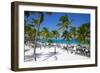 Beach and Palm Trees, Long Bay, Antigua, Leeward Islands, West Indies, Caribbean, Central America-Frank Fell-Framed Photographic Print