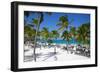 Beach and Palm Trees, Long Bay, Antigua, Leeward Islands, West Indies, Caribbean, Central America-Frank Fell-Framed Photographic Print