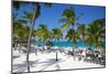 Beach and Palm Trees, Long Bay, Antigua, Leeward Islands, West Indies, Caribbean, Central America-Frank Fell-Mounted Photographic Print