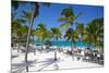 Beach and Palm Trees, Long Bay, Antigua, Leeward Islands, West Indies, Caribbean, Central America-Frank Fell-Mounted Photographic Print