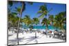 Beach and Palm Trees, Long Bay, Antigua, Leeward Islands, West Indies, Caribbean, Central America-Frank Fell-Mounted Photographic Print