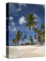 Beach and Palm Trees on Dog Island in the San Blas Islands, Panama, Central America-Donald Nausbaum-Stretched Canvas