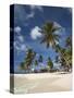 Beach and Palm Trees on Dog Island in the San Blas Islands, Panama, Central America-Donald Nausbaum-Stretched Canvas