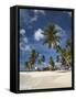 Beach and Palm Trees on Dog Island in the San Blas Islands, Panama, Central America-Donald Nausbaum-Framed Stretched Canvas