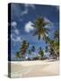 Beach and Palm Trees on Dog Island in the San Blas Islands, Panama, Central America-Donald Nausbaum-Stretched Canvas