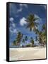 Beach and Palm Trees on Dog Island in the San Blas Islands, Panama, Central America-Donald Nausbaum-Framed Stretched Canvas