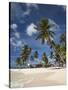 Beach and Palm Trees on Dog Island in the San Blas Islands, Panama, Central America-Donald Nausbaum-Stretched Canvas