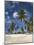 Beach and Palm Trees on Dog Island in the San Blas Islands, Panama, Central America-Donald Nausbaum-Mounted Photographic Print