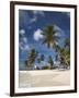 Beach and Palm Trees on Dog Island in the San Blas Islands, Panama, Central America-Donald Nausbaum-Framed Photographic Print