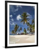 Beach and Palm Trees on Dog Island in the San Blas Islands, Panama, Central America-Donald Nausbaum-Framed Photographic Print