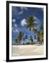 Beach and Palm Trees on Dog Island in the San Blas Islands, Panama, Central America-Donald Nausbaum-Framed Photographic Print