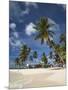 Beach and Palm Trees on Dog Island in the San Blas Islands, Panama, Central America-Donald Nausbaum-Mounted Photographic Print