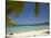 Beach and Palm Trees, Plantation Island Resort, Malolo Lailai Island, Mamanuca Islands, Fiji-David Wall-Stretched Canvas