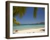 Beach and Palm Trees, Plantation Island Resort, Malolo Lailai Island, Mamanuca Islands, Fiji-David Wall-Framed Premium Photographic Print