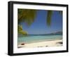 Beach and Palm Trees, Plantation Island Resort, Malolo Lailai Island, Mamanuca Islands, Fiji-David Wall-Framed Premium Photographic Print