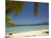 Beach and Palm Trees, Plantation Island Resort, Malolo Lailai Island, Mamanuca Islands, Fiji-David Wall-Mounted Photographic Print