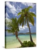 Beach and Palm Trees, Plantation Island Resort, Malolo Lailai Island, Mamanuca Islands, Fiji-David Wall-Stretched Canvas