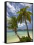 Beach and Palm Trees, Plantation Island Resort, Malolo Lailai Island, Mamanuca Islands, Fiji-David Wall-Framed Stretched Canvas